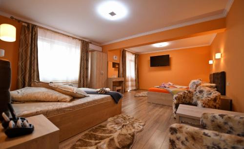 Hateg Apartamento | Apartament TRIDENT
