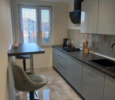Raciborz Apartamento | Apartament tuż przy Rynku