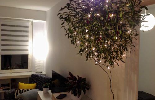 Plock Apartamento | Apartament UŚMIECH