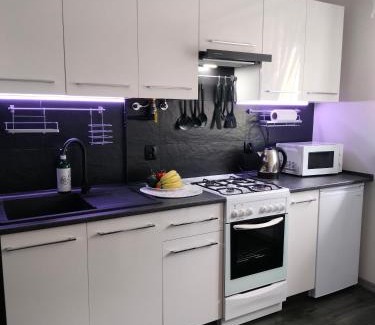 Cieplice Apartamento | Apartament u Gosi