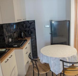 Sanok Apartamento | Apartament u Krysi