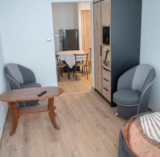 Sanok Apartamento | Apartament u Krysi