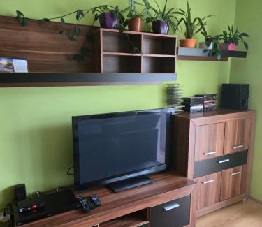 Sanok Apartamento | Apartament u Mani