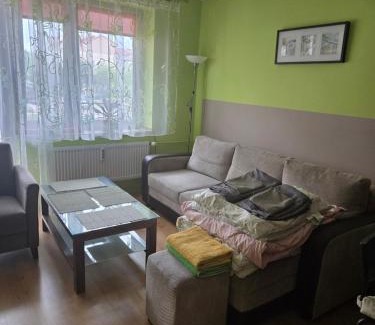 Sanok Apartamento | Apartament u Mani