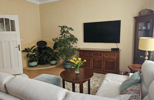 Olsztyn Apartamento | Apartament u Teresy