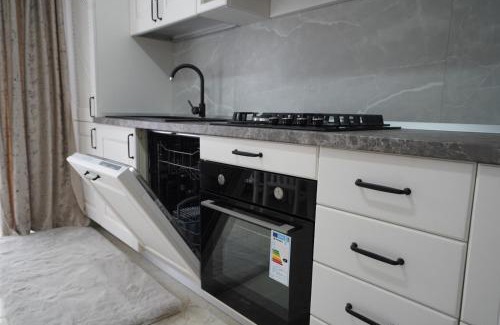 Curtea De Arges Apartamento | Apartament ultracentral NICOL