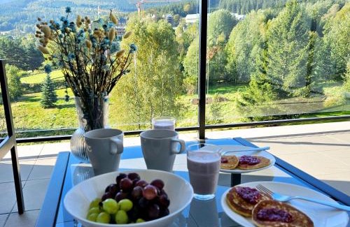 Swieradow-Zdroj Apartamento | Apartament Włochatka z sauną fińską