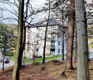 Swieradow-Zdroj Apartamento | Apartament Włochatka z sauną fińską
