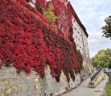 Klodzko Miasto Apartamento | Apartament w Dworku pod Twierdzą
