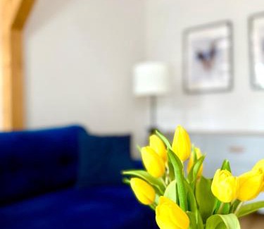 Klodzko Miasto Apartamento | Apartament w samym sercu miasta z DARMOWYM PARKINGIEM Pod Złotym Lwem -hotel VI