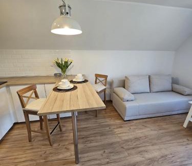 Oliwa Apartamento | Apartament w sercu Oliwy