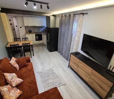 Zaniemysl Apartamento | Apartament w zabytkowym parku nad jeziorem