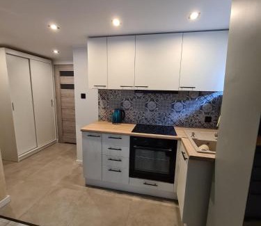 Zaniemysl Apartamento | Apartament w zabytkowym parku nad jeziorem