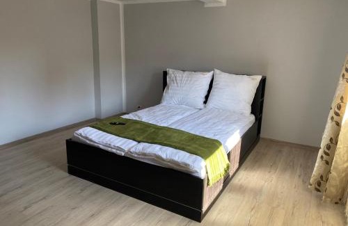 Bielawa Apartamento | Apartament W46B Deluxe w Bielawie Góry Sowie