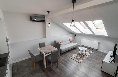 Plock Apartamento | APARTAMENT WARSZAWSKA klimatyzacja zamknięte osiedle parking