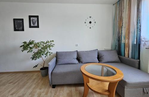 Boleslawiec Apartamento | Apartament WELES