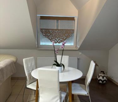 Augustow Apartamento | Apartament Wierzbna