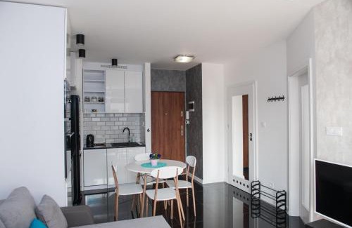 Stare Miasto District Apartamento | Apartament Winogrady Hawelańska