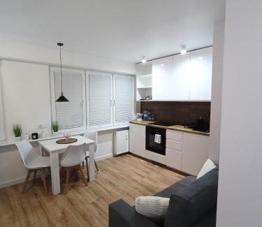 Ostroleka Apartamento | Apartament WITOSA