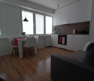 Ostroleka Apartamento | Apartament WITOSA