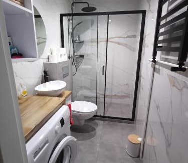 Ostroleka Apartamento | Apartament WITOSA