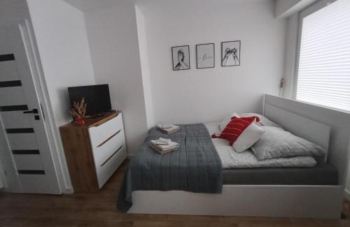 Ostroleka Apartamento | Apartament WITOSA