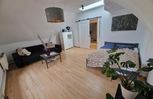 Wodzislaw Slaski Apartamento | Apartament Wodzisław Śląski Blisko granicy