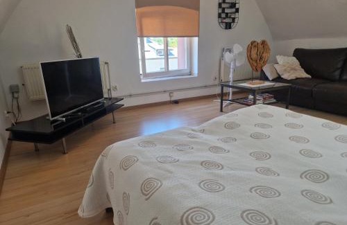 Wodzislaw Slaski Apartamento | Apartament Wodzisław Śląski Blisko granicy