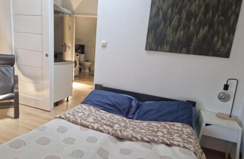 Wodzislaw Slaski Apartamento | Apartament Wodzisław Śląski Blisko granicy