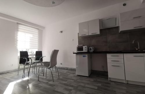 Kalisz Apartamento | Apartament wygodny S4