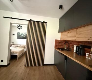 Czerniawa-Zdroj Apartamento | Apartament z Balią