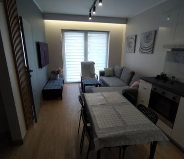 Czestochowa Apartamento | Apartament Zacisze 3 modern
