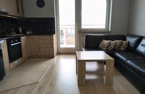 Subcarpathian Province Apartamento | Apartament ZARA
