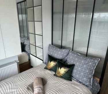 Kielce Apartamento | Apartament Zielona Klonowa