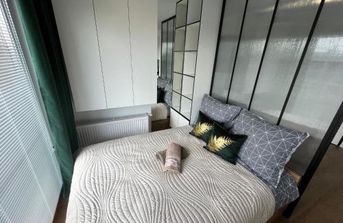 Kielce Apartamento | Apartament Zielona Klonowa