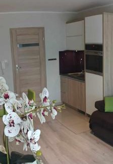 Leba Apartamento | Apartament Zielona Wydma