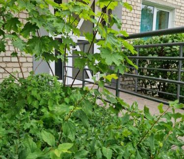 Grigiskes Apartamento | Apartamentai Grigiškes