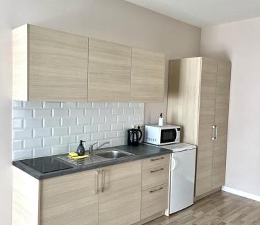 Klaipeda Apartamento | Apartamentai Klaipėda-studijos tipo butukai