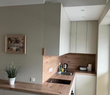 Birstonas Apartamento | Apartamentai Muziejaus g.