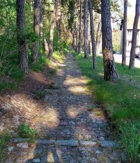 Nida Apartamento | Apartamentai Nidoje