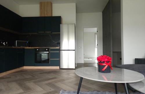 Klaipeda county Apartamento | Apartamentai Prie Tvenkinio