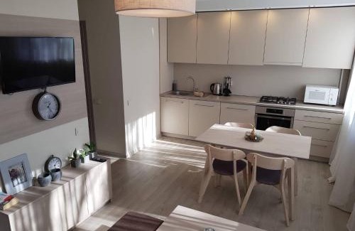 Siauliai Apartamento | Apartamentai Vilniaus Street