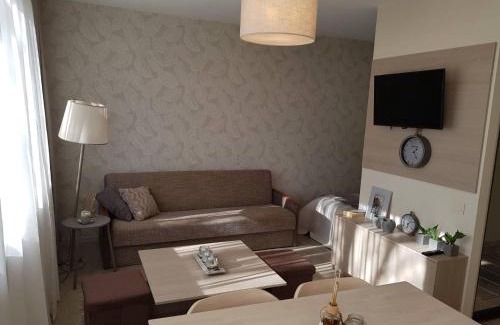 Siauliai Apartamento | Apartamentai Vilniaus Street