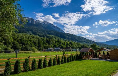 Zarnesti Cabina | Apartamente Creasta Craiului