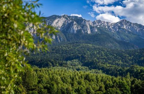 Zarnesti Cabina | Apartamente Creasta Craiului