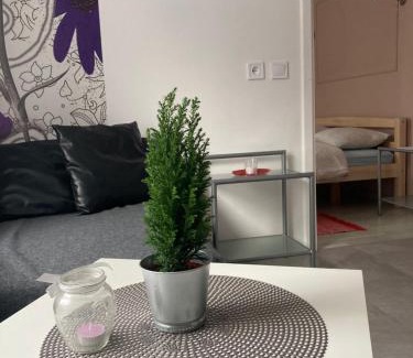 Cesis Apartamento | Apartamenti
