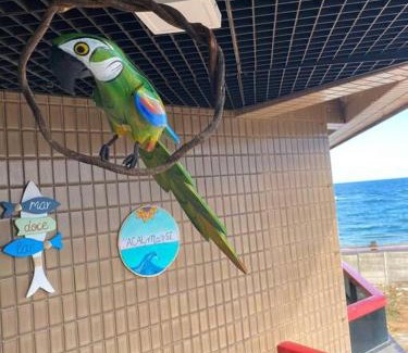 Pituba Apartamento | Apartamento à beira mar em Salvador
