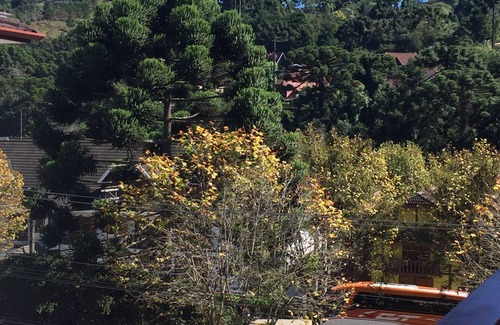 Vila Iara Apartamento | Apartamento Aconchegante e Tranquilo na Montanha