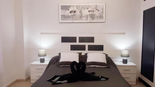 Puerto Naos Apartamento | Apartamento Any