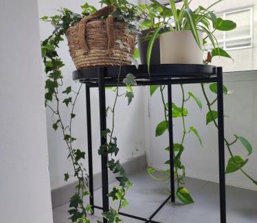 Pontevedra Apartamento | APARTAMENTO BOLBORETA